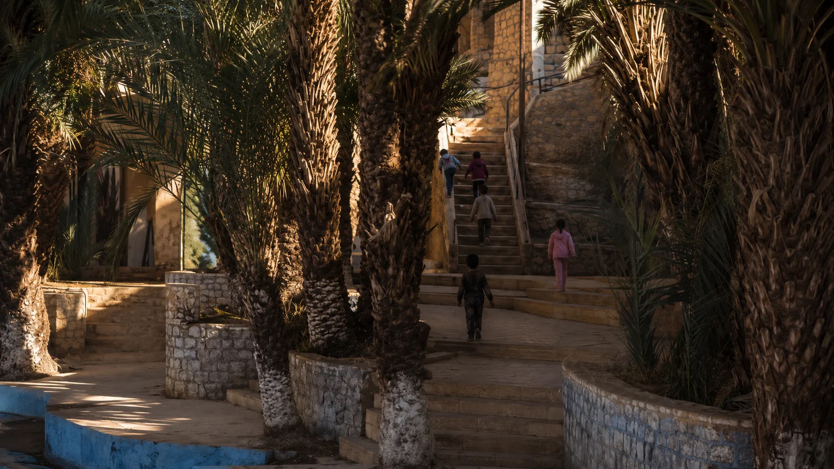The long staircase rising from the Blue Spring through the palms
