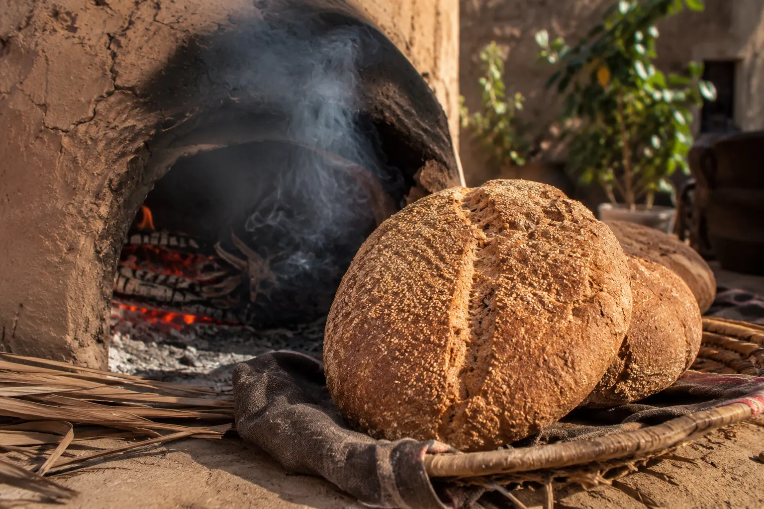 Traditional wholegrain bread coming hot from an earthen wood-fired oven