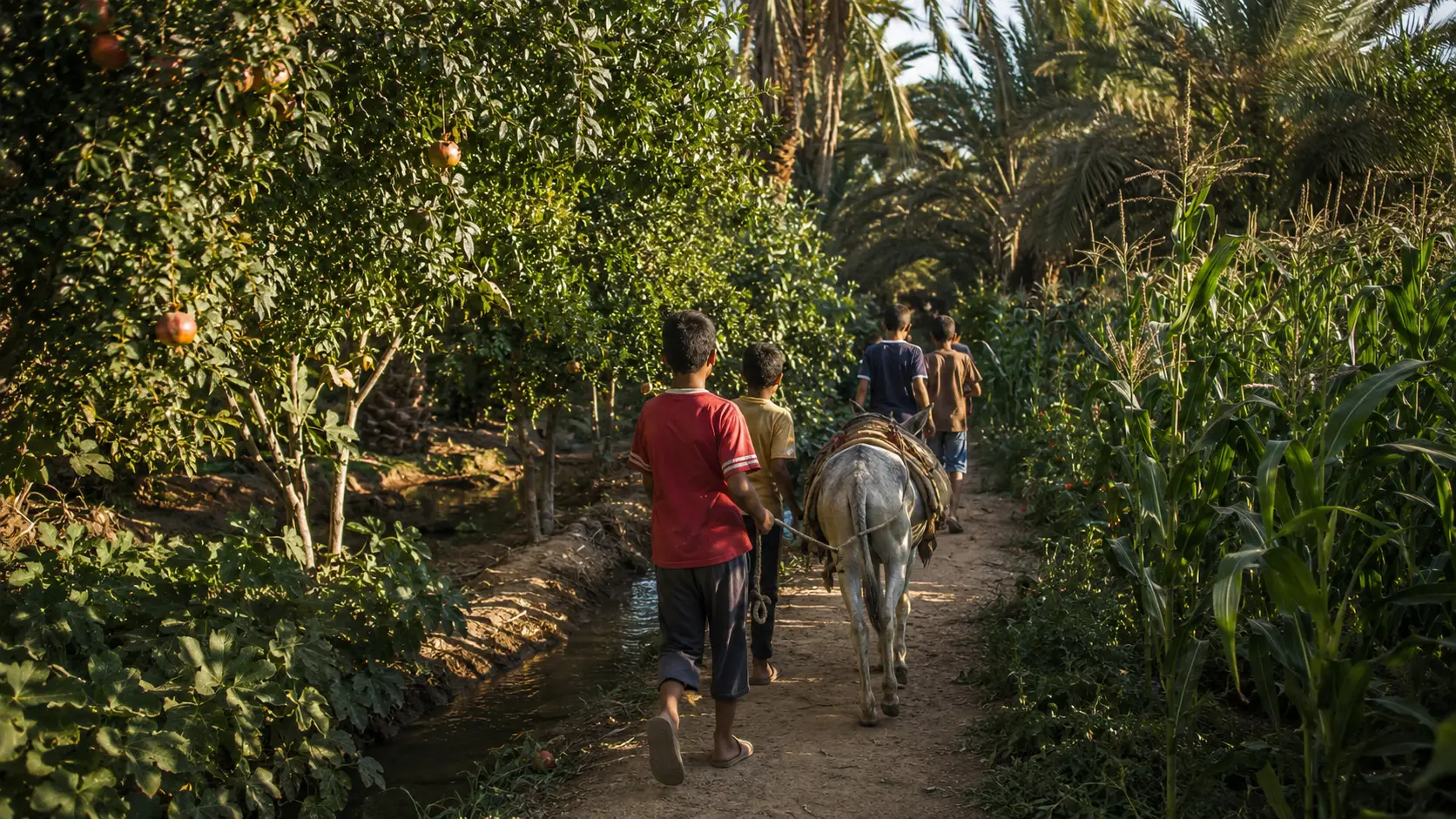 Children walking with a grey donkey along a narrow path through the palm grove