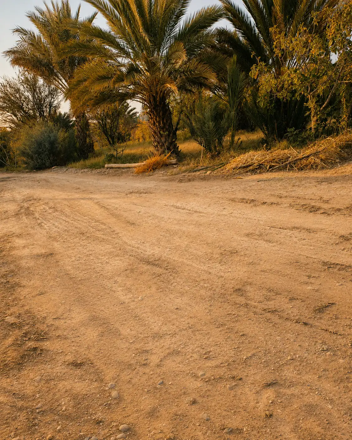 Ksar Meski and its oasis