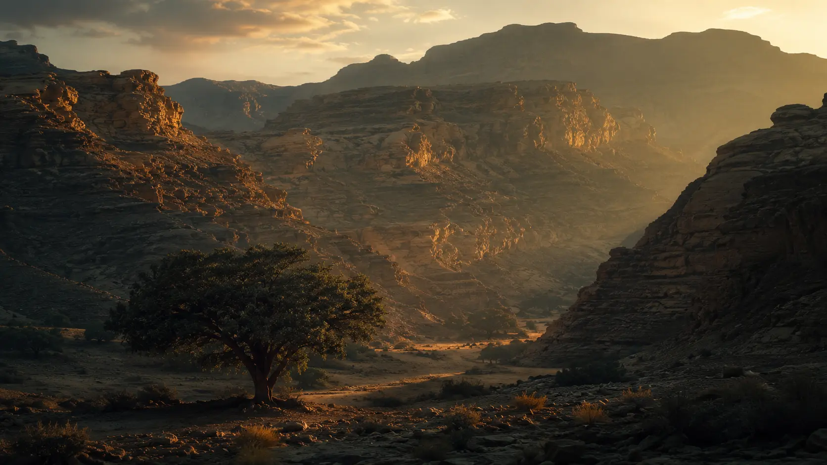 Wadi Do'an canyon at dusk, Sidr trees on the valley floor