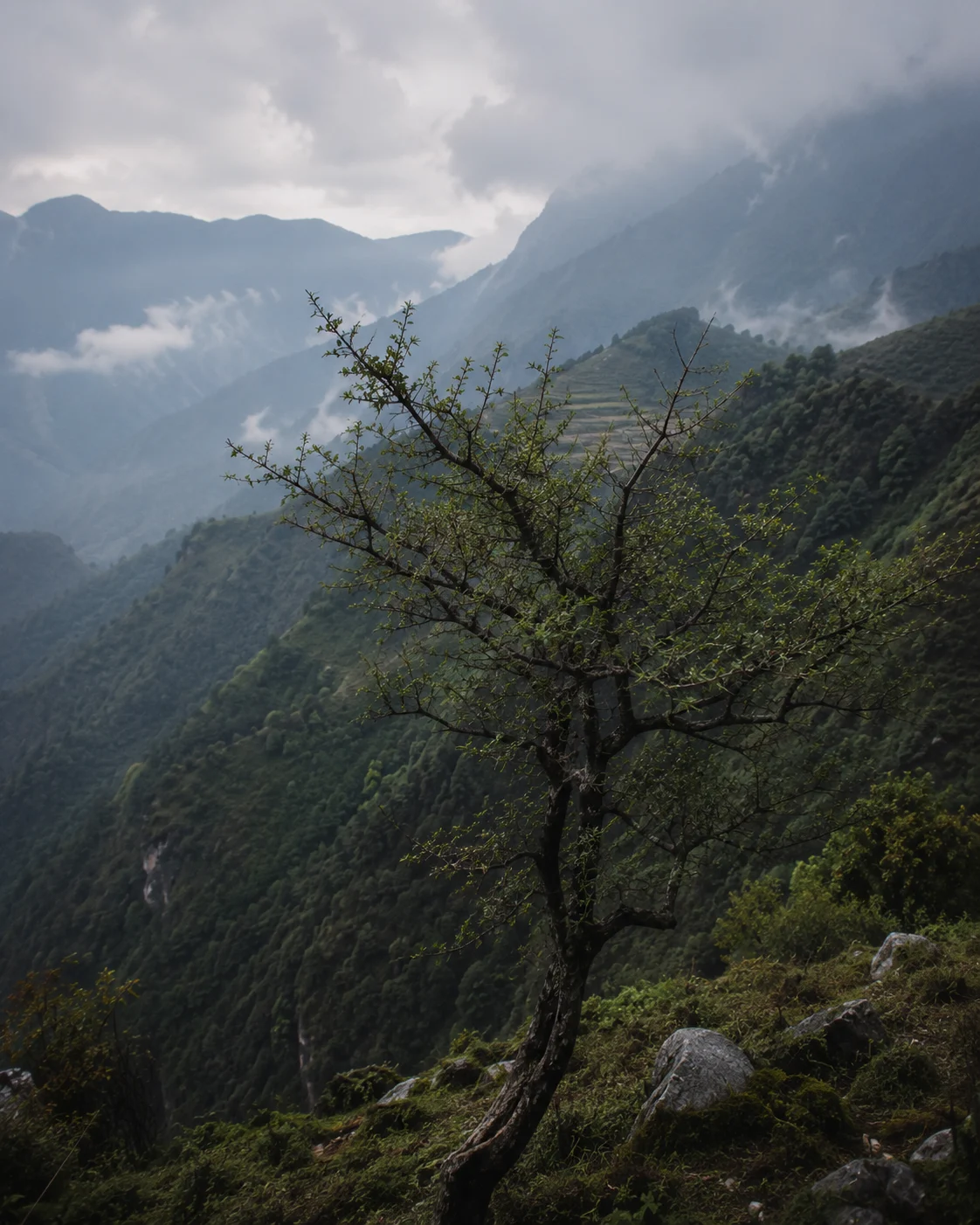 Himalayan highland terrain, Nepal