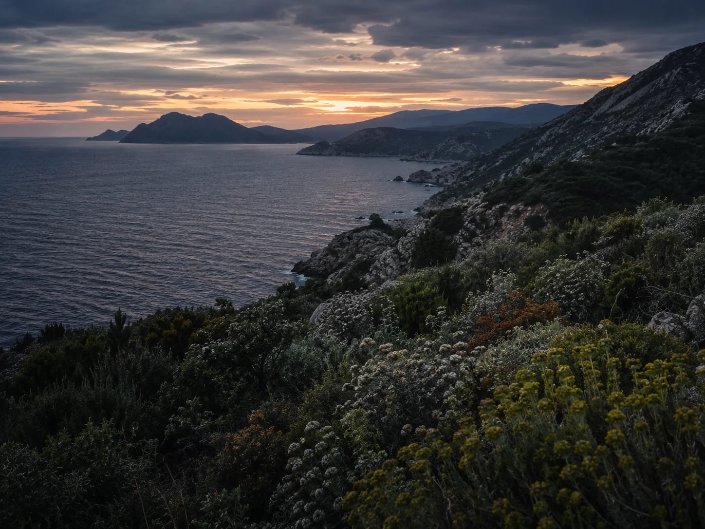 Europe landscape