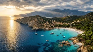 french-corsica-cap-corse-chestnut-forest-honey-terroir-miel-corse-غابة-كورسيكا-فرنسا