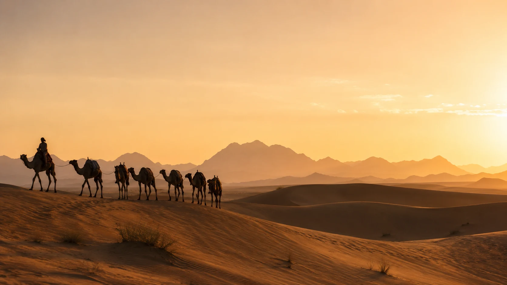 Camel trekking in the desert, Hajar Mountains behind