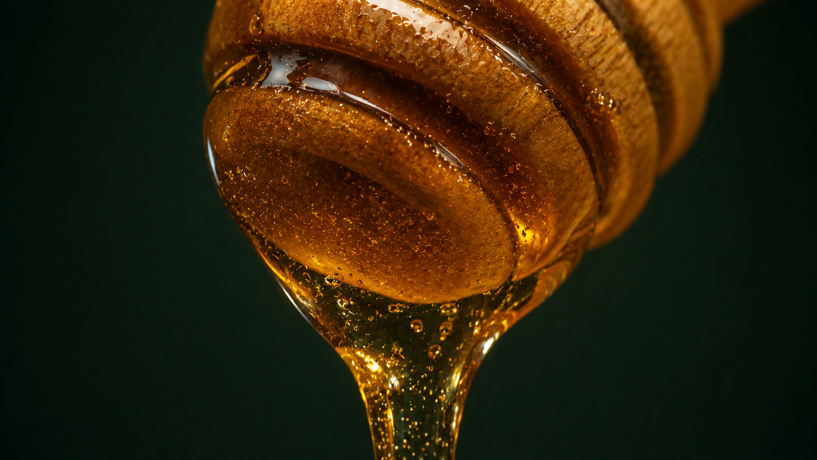 Authentic Sidr honey terroirs from Yemen Oman Saudi Arabia and UAE