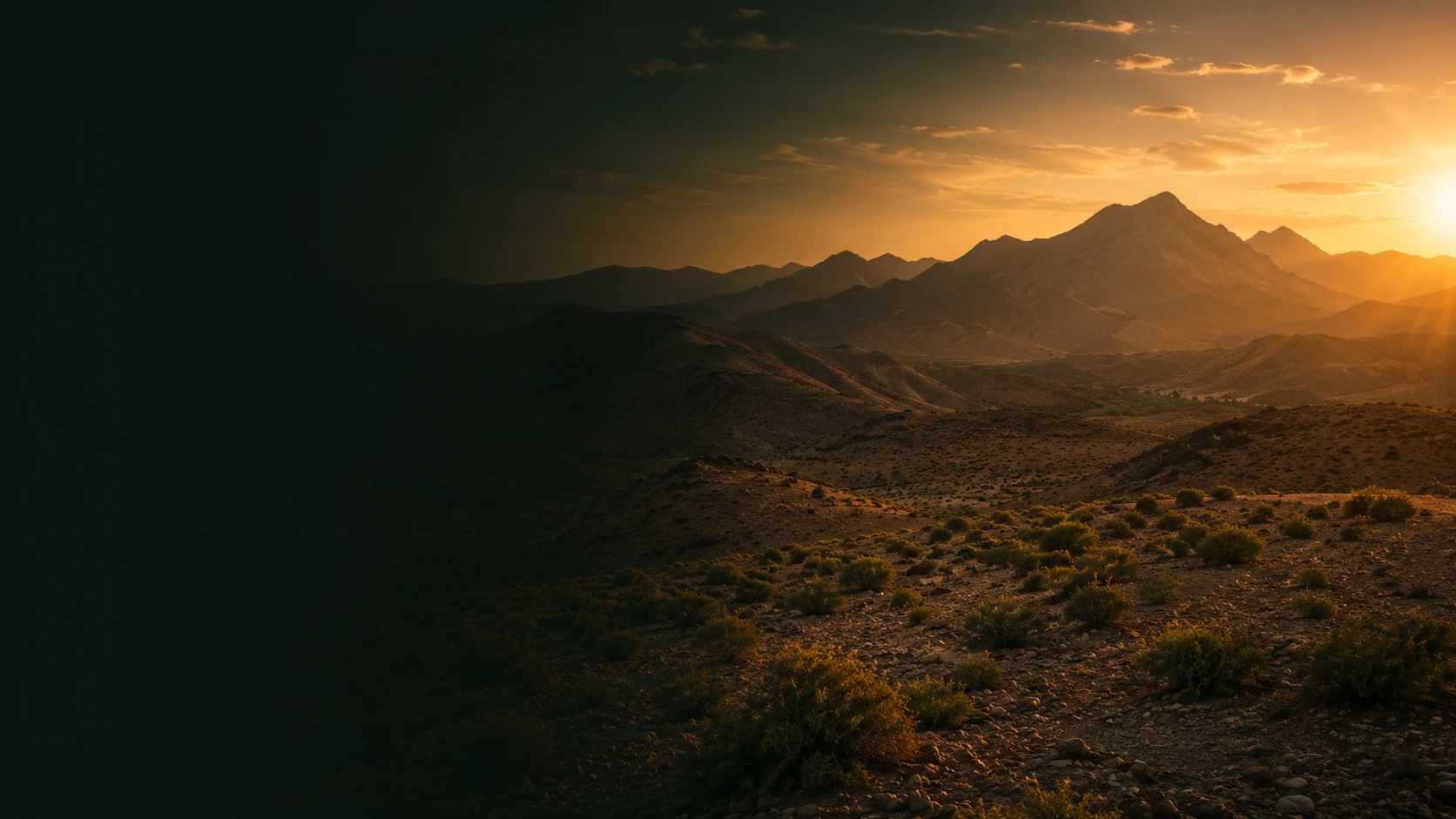 Wild Moroccan jujube shrub in an arid mountain landscape