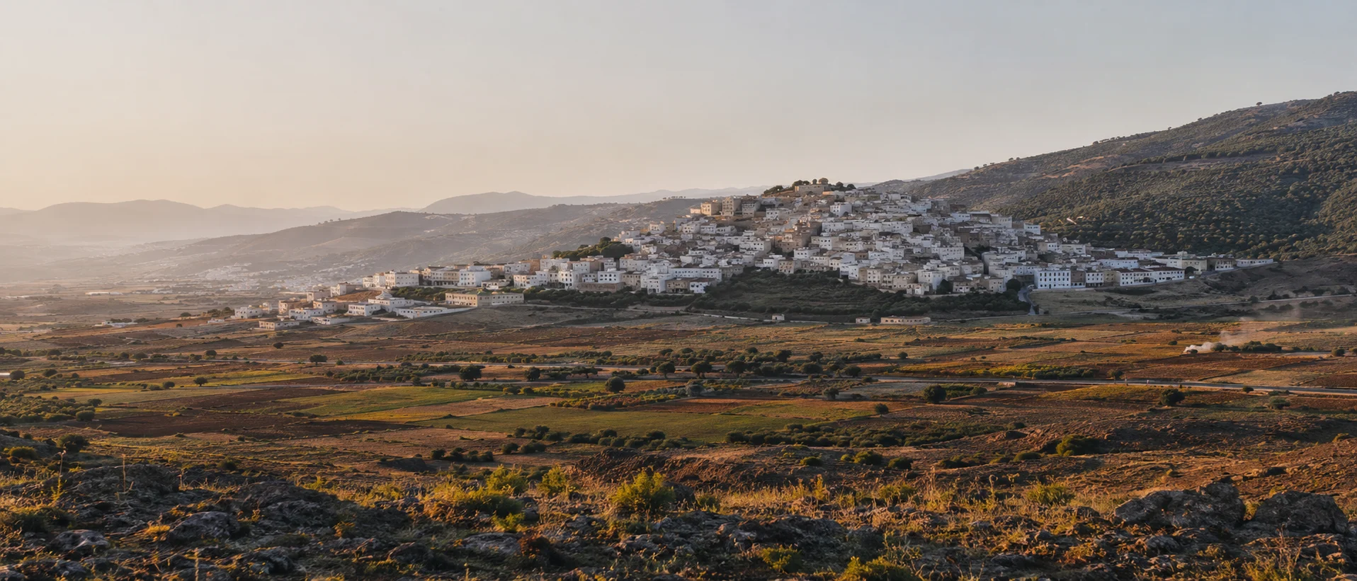 View from Moulay Idriss Zerhoun toward the landscape of Walili and the beginnings of Idrisid Morocco
