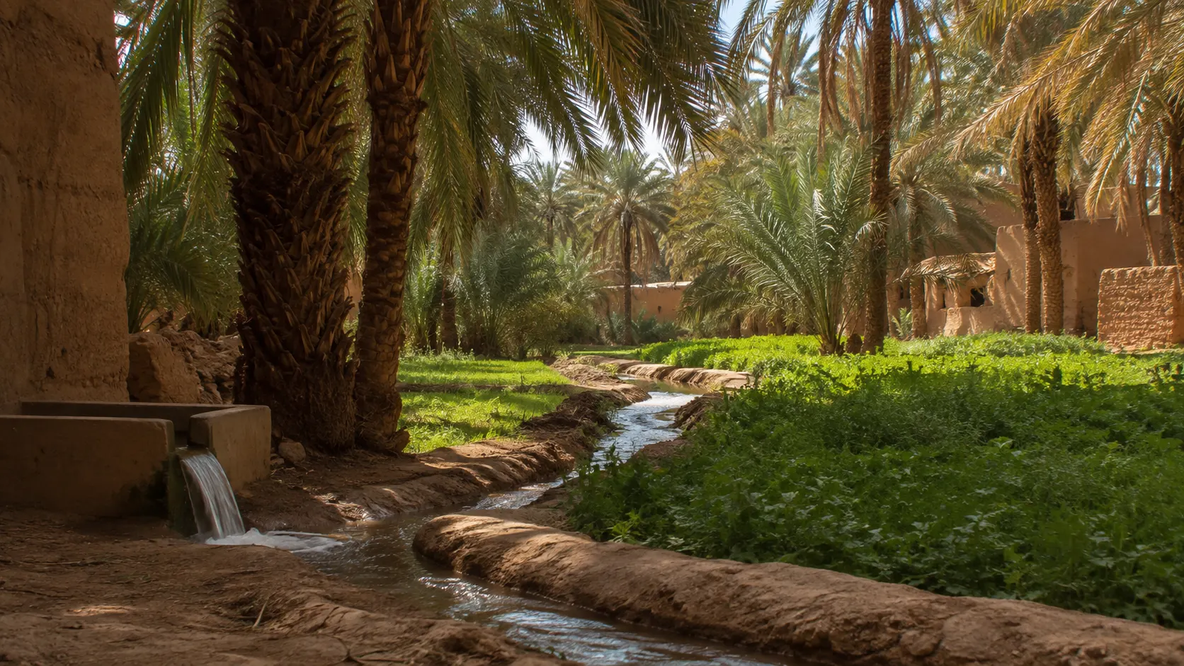 واحة مسكي قرب الرشيدية مع نخيل التمر والحقول والماء في قلب المشهد الجاف لوادي زيز